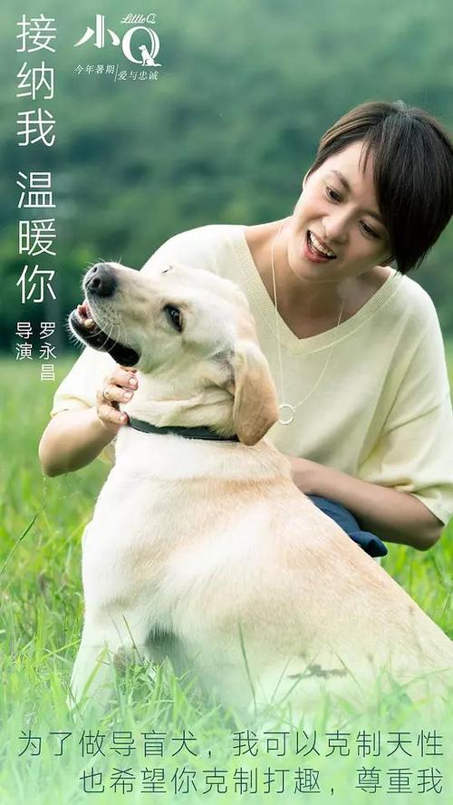 雅思成绩单号码怎么知道